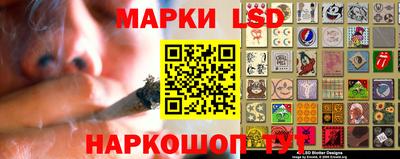мдпв Гатчина