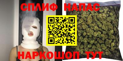 шишки Гагарин
