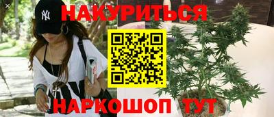 spice Гай