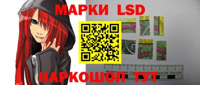 мдпв Гатчина